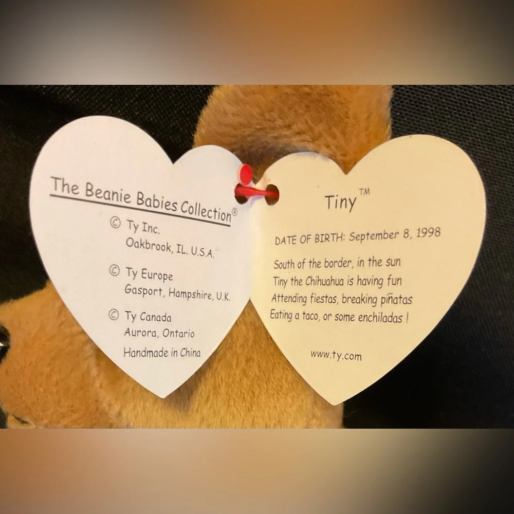 Adorable Ty “Tiny” beanie Baby 🐕 Chihuahua dog